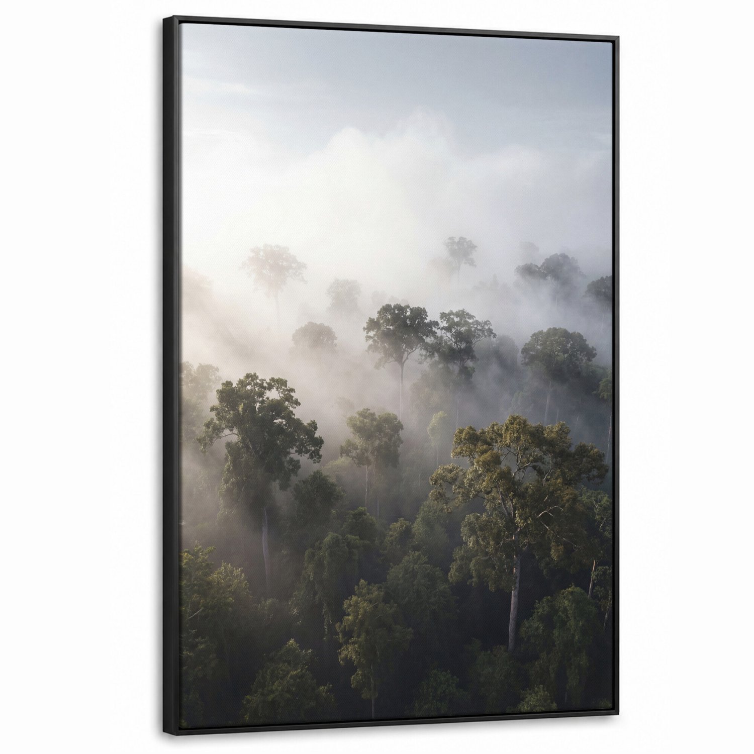 Canvas Schilderij met Baklijst - Bos - Mist - Natuur - Groen