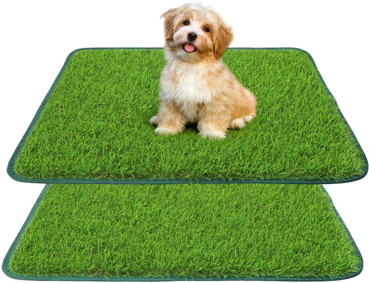 Dog Toilet voor Balkon en Thuis met Kunstgras
