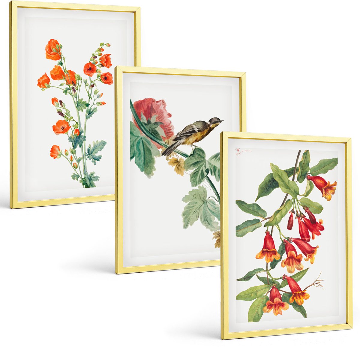 Coloray 3-Delige Schilderij Set - Geschilderde Retro Bloemen En Een Vogel Op Een Tak - 40 x 40 cm En 40 x 60 cm - Wanddecoratie - Muurdecoratie - Woonkamer - Decoratieve Schilderijen