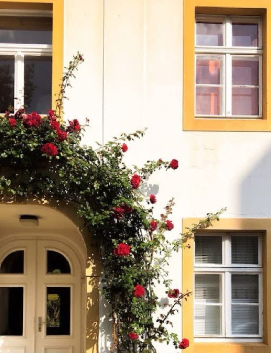 European Architecture Rose Arch Notebook - ShopVlot