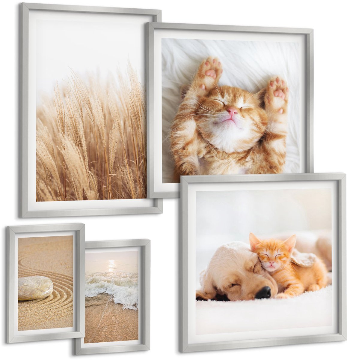 Coloray 5-Delige Schilderij Set - Schattige Dieren: Katten, Honden, Zacht Gras, Boho-Stijl. - 20 x 30 cm - Muurdecoratie - Wanddecoratie - Slaapkamer