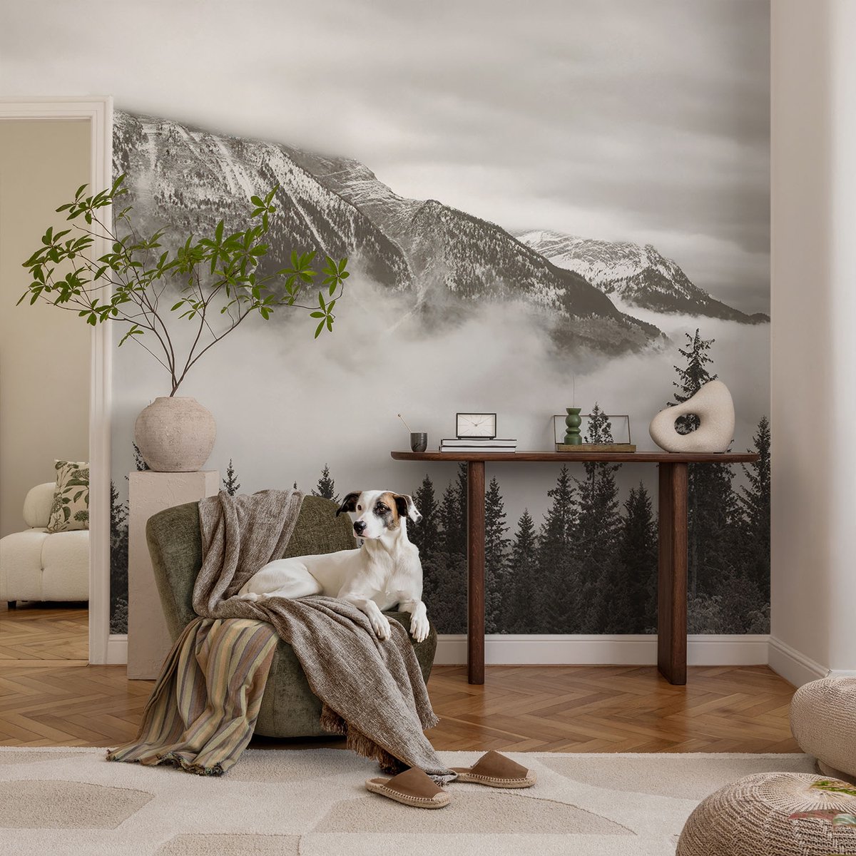 Coloray Vliesbehang - Zwart-Wit Snellijm Behang - 104x70 cm - Berglandschap Muurschildering - Gang behang Landschappen - Fotobehang Vlies - Slaapkamer behang