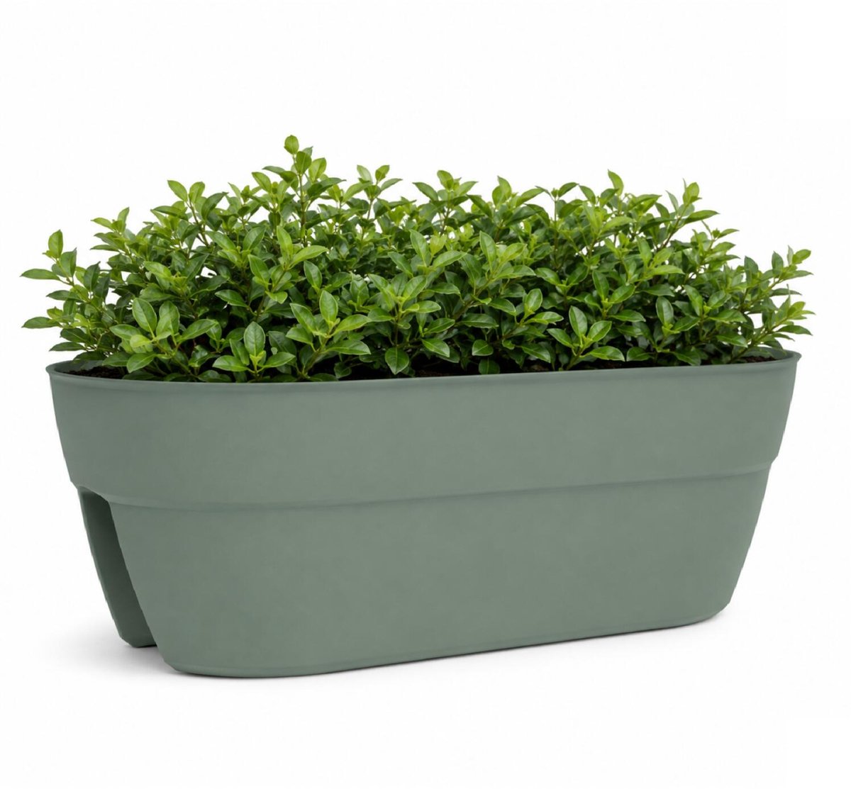 EDA Balkon plantenbak / bloempot Osaka - groen - 56 x 30 x 20 cm - ovaal - kunststof - voor planten en kruiden