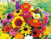 MRS Seeds & Mixtures Bloemenmengsel voor Vlinders 1 jarig
