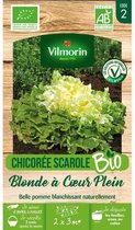 Vilmorin biologische blonde escarole cichorei