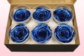 Rozenkoppen | 100% natuurlijk | Metallic blauw | XL