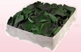 Rozenblaadjes | 100% natuurlijk | Donkergroen | 2 liter