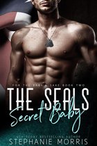 For the Baby's Sake 2 - The SEALs Secret Baby