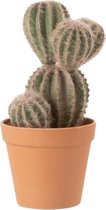 J-Line Cactus Ongelijkmatig+Pot Kunststof Grn/Terracotta