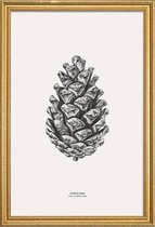 JUNIQE - Poster met houten lijst Pinecone -60x90 /Grijs & Ivoor