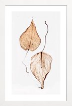 JUNIQE - Poster met houten lijst Delicate Leaves -13x18 /Bruin & Groen