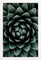 JUNIQE - Poster in houten lijst Cactus hart -60x90 /Groen