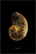 JUNIQE - Poster met kunststof lijst Nautilus Shell gouden -30x45 /Goud