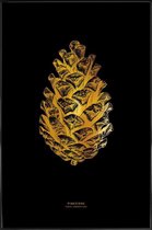 JUNIQE - Poster met kunststof lijst Pinecone gouden -13x18 /Goud &