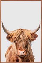 JUNIQE - Poster met kunststof lijst Highland Cow -60x90 /Bruin