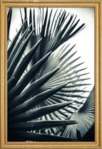JUNIQE - Poster met houten lijst Palm Shade 2 -40x60 /Grijs & Groen