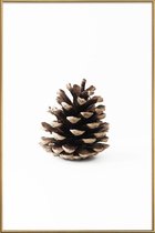 JUNIQE - Poster met kunststof lijst Pinecone N1 -20x30 /Bruin & Wit