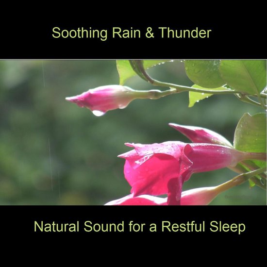 Soothing Rain & Thunder - cover