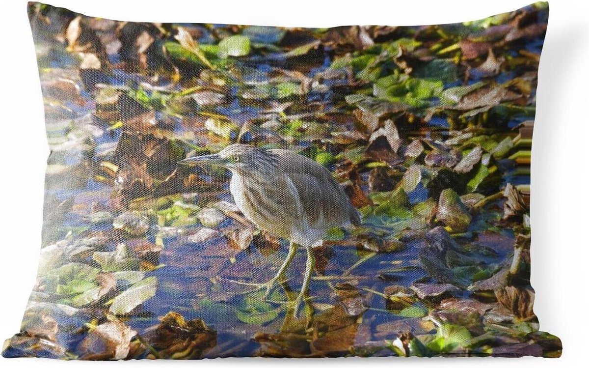 Buitenkussens - Tuin - Een Woudaap zit tussen de bladeren in een plas water - 60x40 cm - PillowMonkey