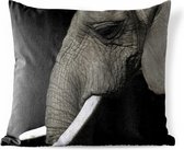 Buitenkussens - Tuin - Close-up van een olifant op een zwarte achtergrond - 60x60 cm