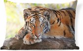 Buitenkussens - Tuin - Jonge tijger op een boomstam - 60x40 cm