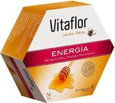 Vitaflor Jalea Real Energi?1/2a 20viales 200ml