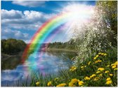 Poster – Regenboog met Zon bij het Water - 40x30cm Foto op Posterpapier