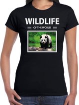 Dieren foto t-shirt Panda - zwart - dames - wildlife of the world - cadeau shirt pandaberen liefhebber M