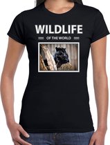 Dieren foto t-shirt Zwarte panter - zwart - dames - wildlife of the world - cadeau shirt panters liefhebber 2XL