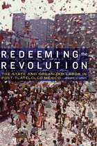 The Mexican Experience - Redeeming the Revolution
