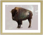 Foto in frame , Buffel , 3 maten , multikleur, wanddecoratie , Premium print