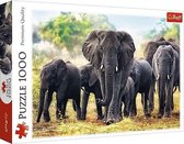 Afrikaanse Olifanten, 1000 stukjes Puzzel
