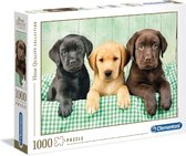 Clementoni Puzzel 1000 Three Labrador
