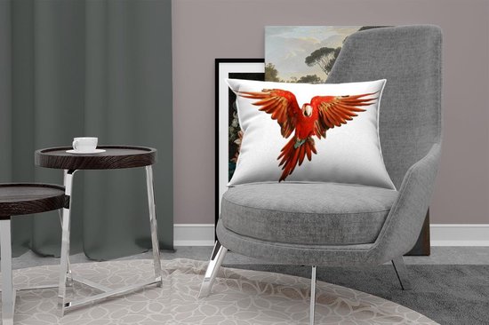 Sierkussen Animaux sur fond blanc pour l'intérieur - Ara pour fond blanc - 60x40 cm - Coussin intérieur rectangulaire en coton