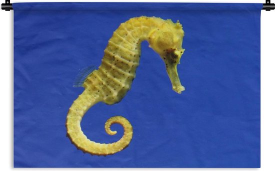 Tapisserie Hippocampe - Un hippocampe jaune sur fond bleu Tapisserie coton  150x100 cm... | bol.com