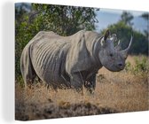 Rhinocéros de près 30x20 cm - petit - Tirage photo sur toile peinture (Décoration murale salon / chambre) / animaux sauvages Peintures sur toile
