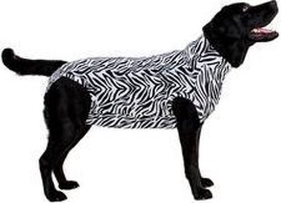 Medical Pet Shirt Hond Zebra Print - M - Medical Pet Shirt