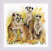 RIOLIS Meerkats / Stokstaartjes borduren (pakket)