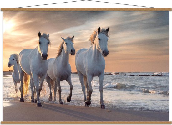 Schoolplaat – Witte Paarden op het Strand - 150x100cm Foto op Textielposter (Wanddecoratie op Schoolplaat)