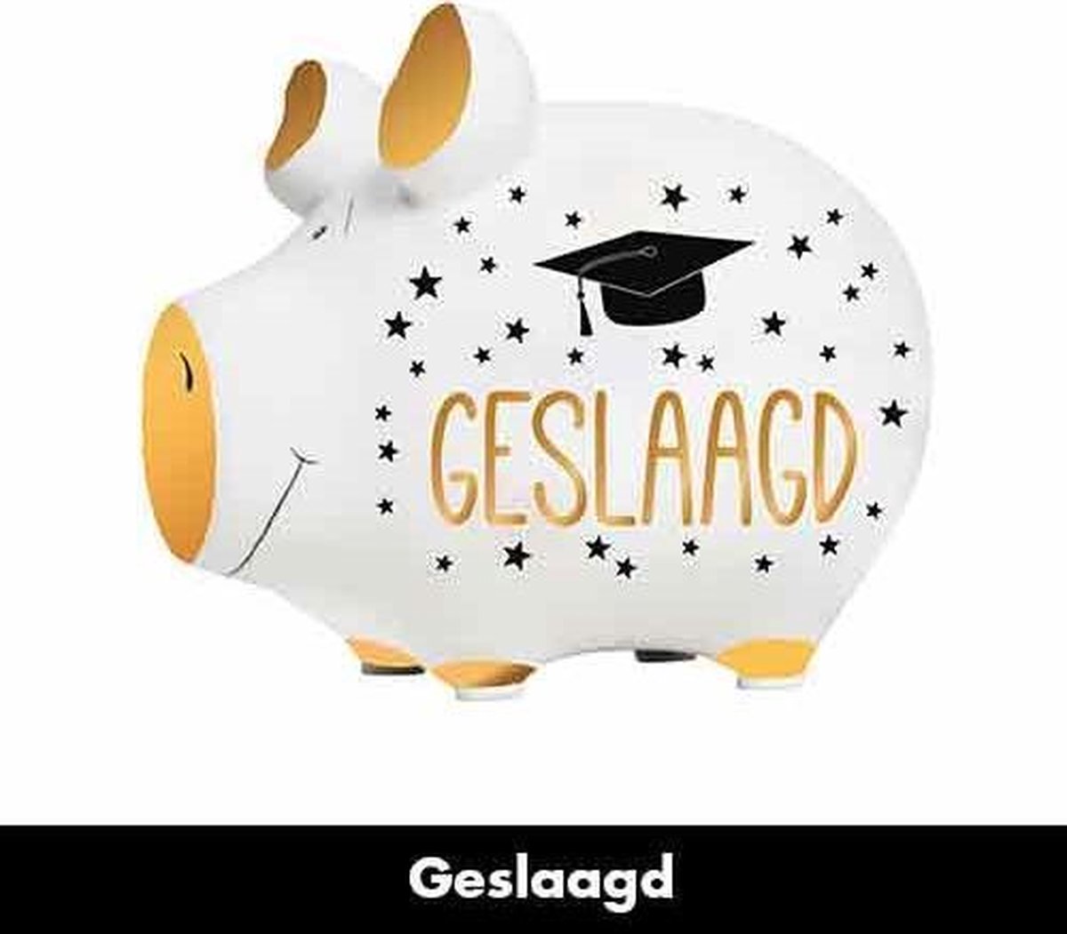Spaarvarken Geslaagd