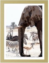 Foto in frame , Afrikaanse Olifant, 3 maten , multikleur, wanddecoratie , Premium print