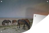 Tuinposter Wilde Shackleford Mustang paarden - 190x120 cm - Wanddecoratie Buiten - Tuinposter - Tuindoek - Schuttingposter - Tuinschilderij