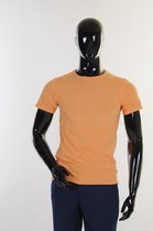 Dstrezzed T-shirt Ronde Hals Pumpkin Oranje (202274-SS21 - 442)