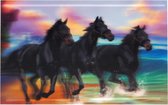 S.Y.W Poster - Galopperende Zwarte Paarden - Zwart