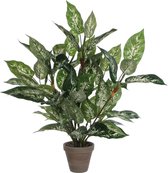 Plante artificielle Dieffenbachia Vert - H 70cm - Pot décoratif en céramique - Décorations Mica