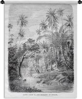 Wandkleed Rij van palmbomen illustratie - Een illustratie van een rij palmbomen in Sri Lanka Wandkleed katoen 60x80 cm - Wandtapijt met foto