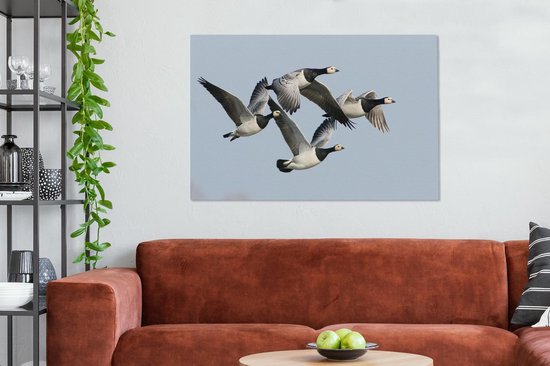 Quatre oies dans l'air Toile 120x80 cm - Tirage photo sur toile (Décoration murale salon / chambre) / Peintures sur toile Animaux