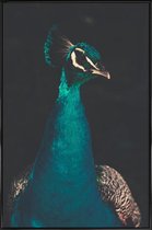 JUNIQE - Poster in kunststof lijst Peacock And Proud -40x60 /Ivoor &