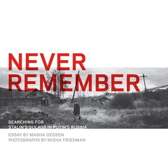 Never Remember - cover