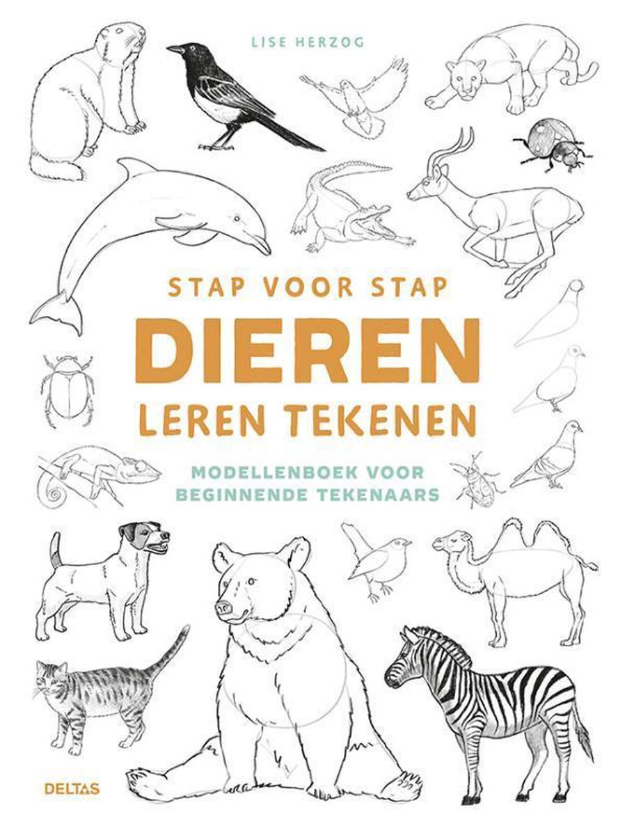 Stap voor stap dieren leren tekenen - Lise Herzog